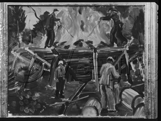 Glassplate og negativ bladfilm