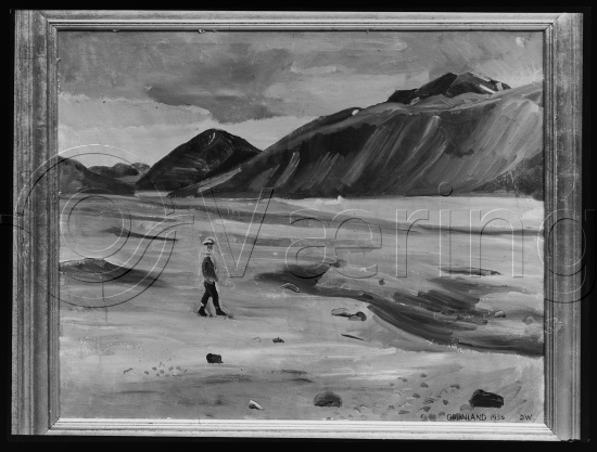 Glassplate og negativ bladfilm