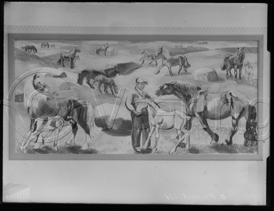 Glassplate og negativ bladfilm