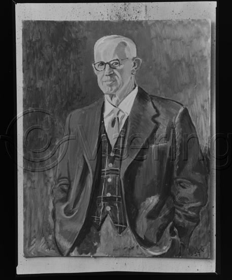 Glassplate og negativ bladfilm