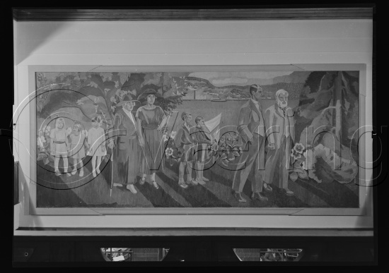 Glassplate og negativ bladfilm