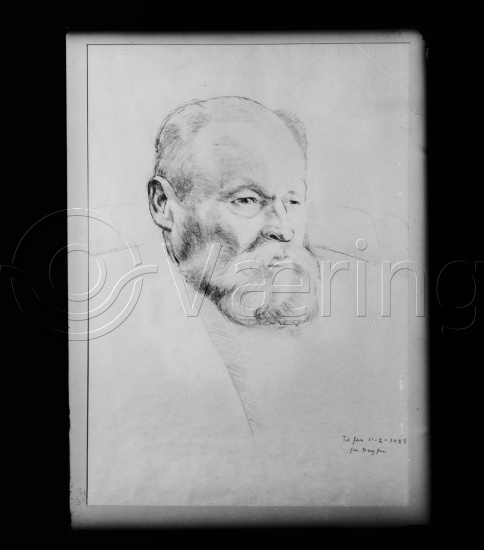 Glassplate og negativ bladfilm