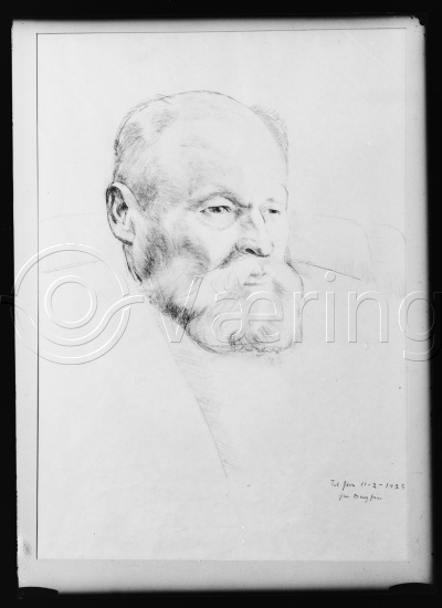 Glassplate og negativ bladfilm