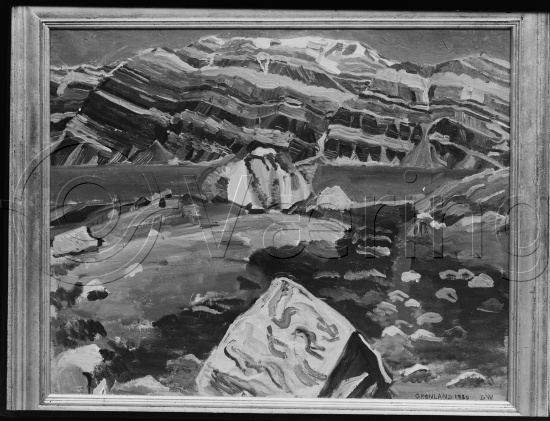 Glassplate og negativ bladfilm