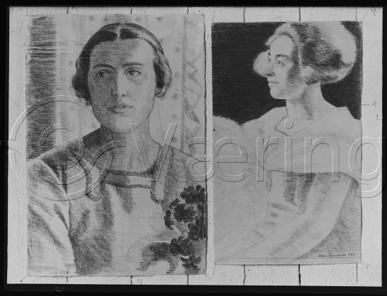 Glassplate og negativ bladfilm