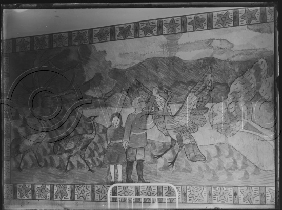 Glassplate og negativ bladfilm