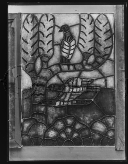 Glassplate og negativ bladfilm