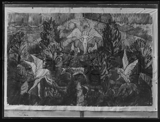 Glassplate og negativ bladfilm