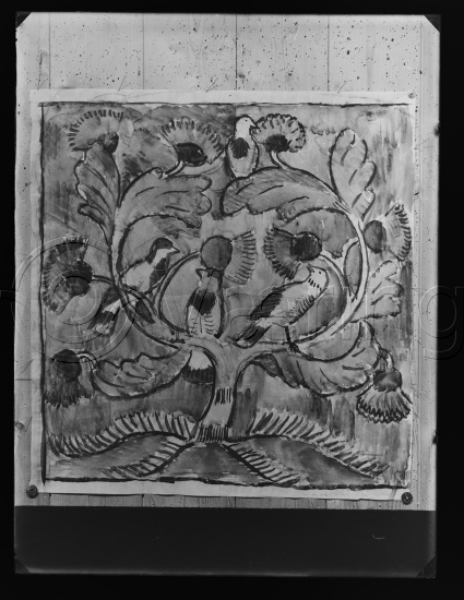 Glassplate og negativ bladfilm