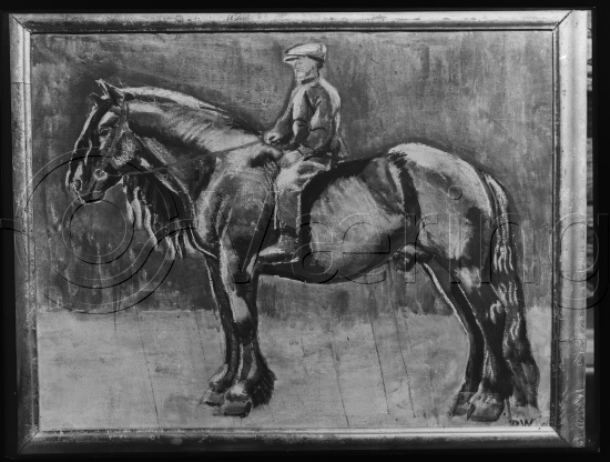 Glassplate og negativ bladfilm