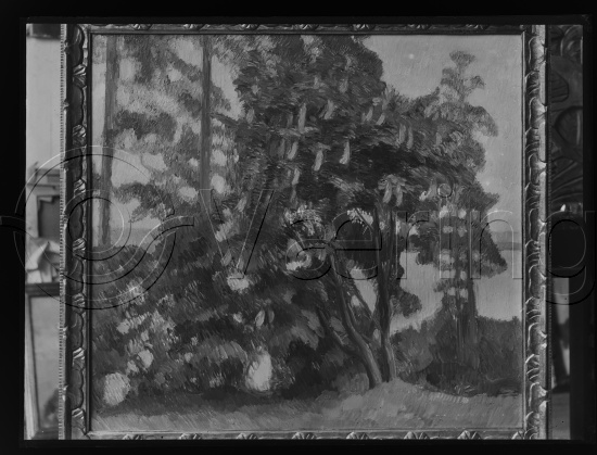 Glassplater og negativ film