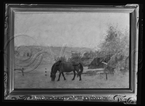 Glassplater og negativ film