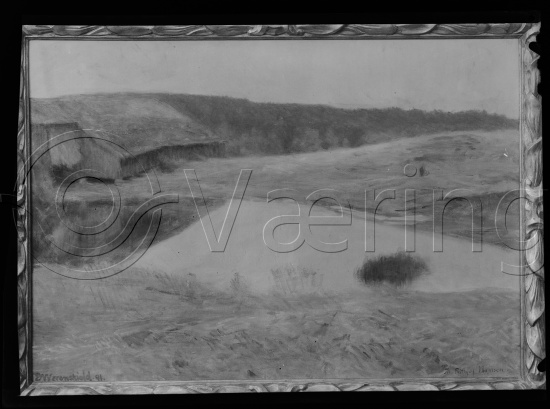 Glassplate og negativ film