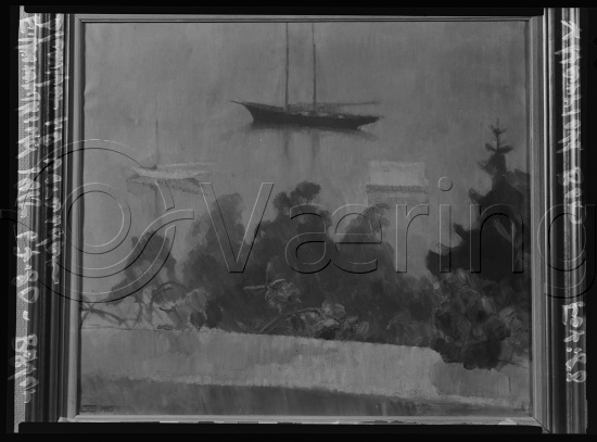 Glassplate og negativ film