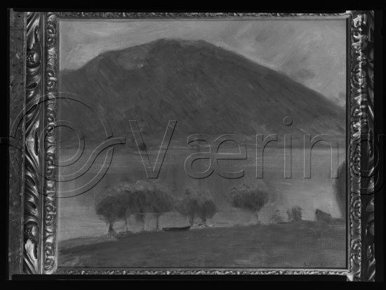 Glassplate og negativ film
