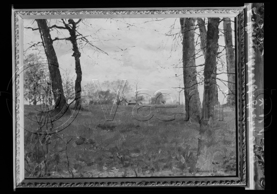 Glassplate og negativ film