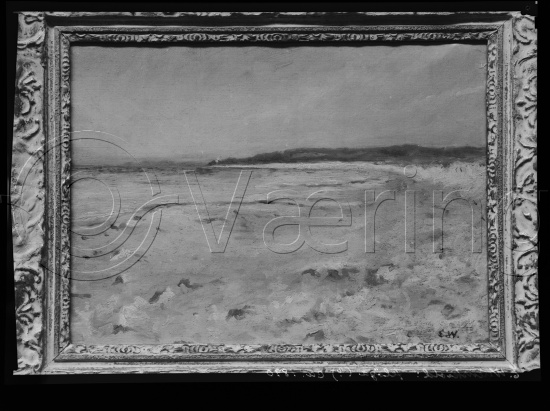Glassplate og negativ film