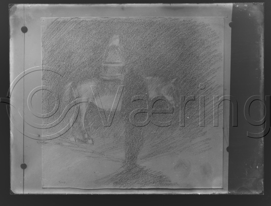 Glassplate og negativ film