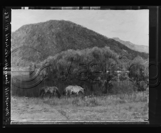 Glassplate og negativ film