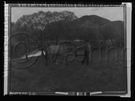 Glassplate og negativ film