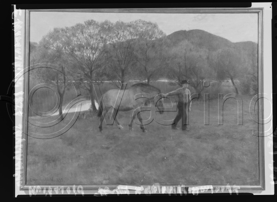 Glassplate og negativ film