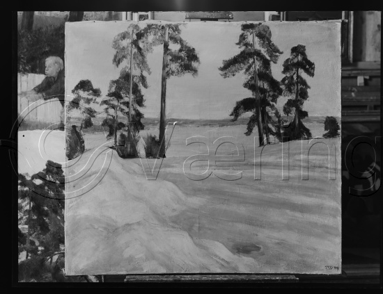 Glassplate