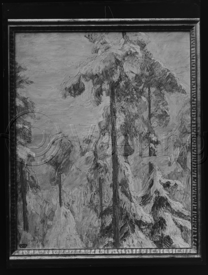Glassplate