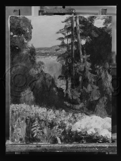 Glassplate