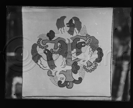 Glassplate og negativ film