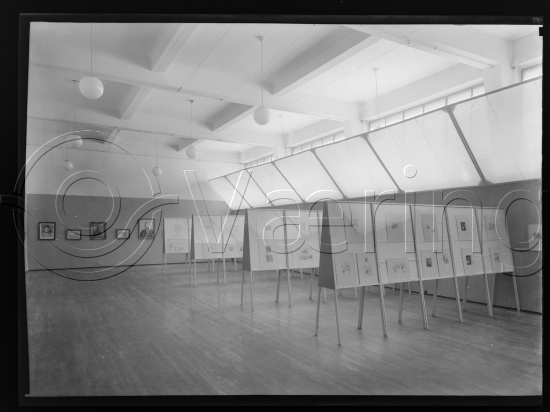 Glassplate og negativ film