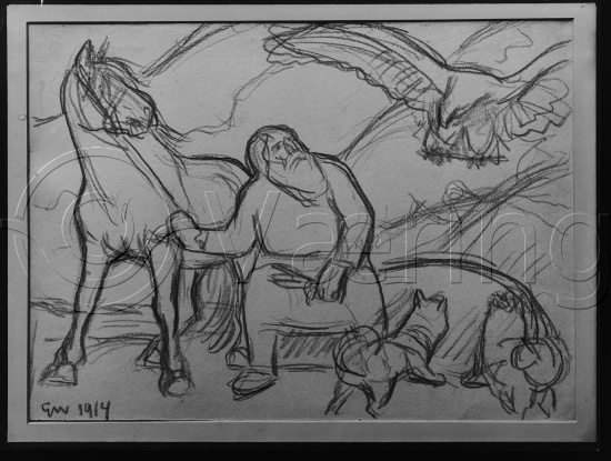 Glassplate og negativ film