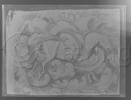 Glassplate og negativ film