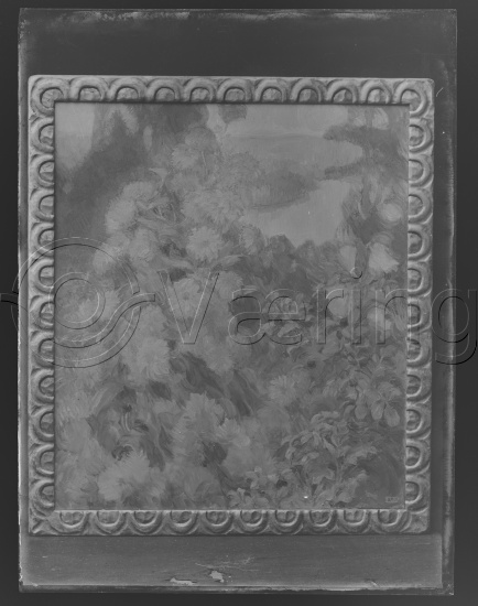 Glassplate og negativ film