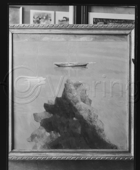 Glassplate og negativ film