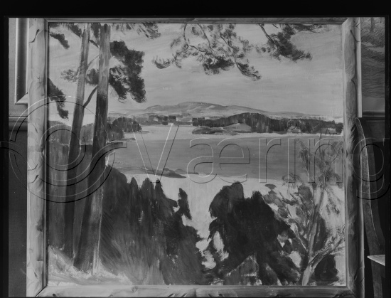 Glassplate og negativ film