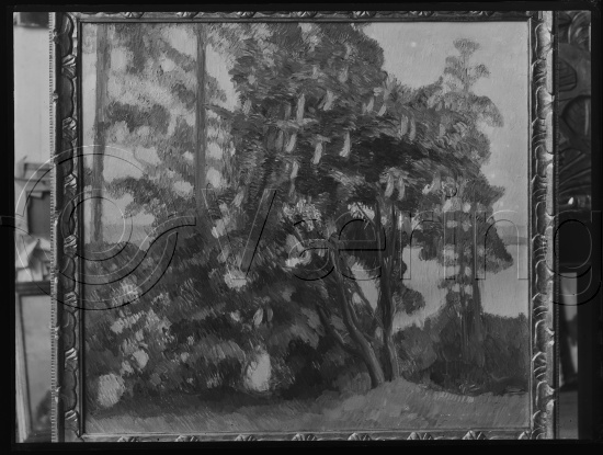 Glassplate og negativ film