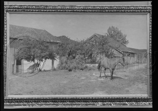 Glassplate og negativ film