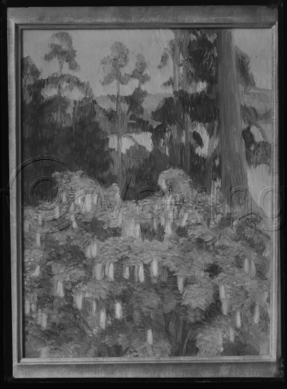 Glassplate og negativ film