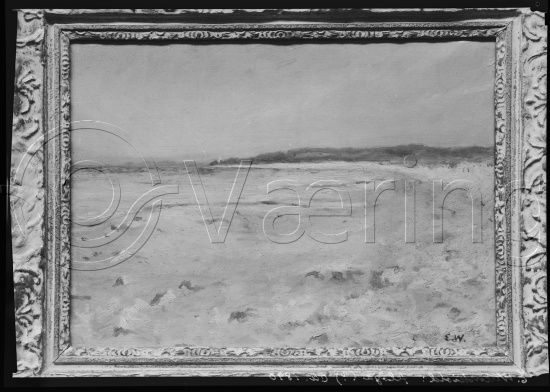 Glassplate og negativ film