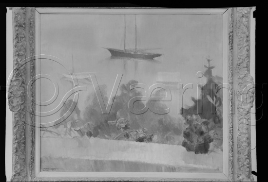 Glassplate og negativ film