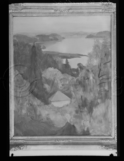 Glassplate og negativ film