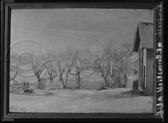 Glassplate og negativ film