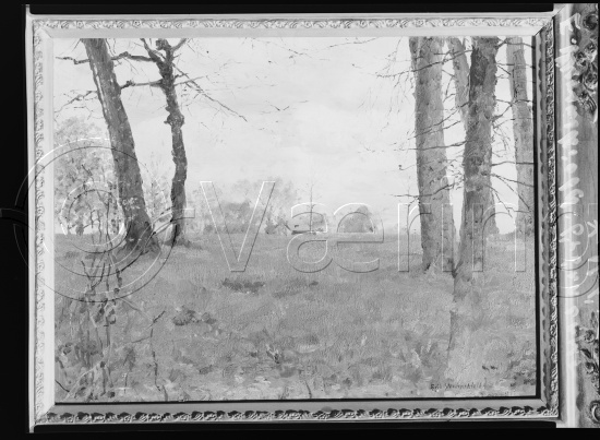 Glassplate og negativ film