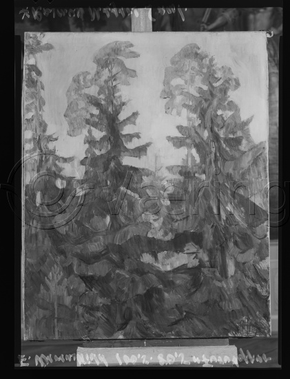 Glassplate og negativ film