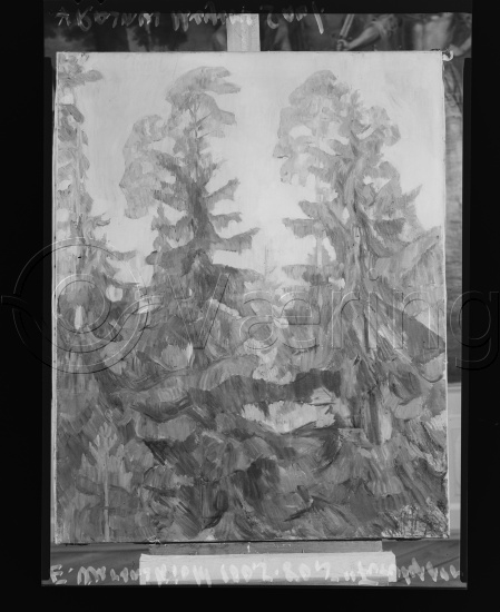 Glassplate og negativ film