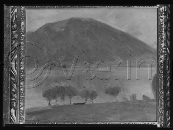 Glassplate og negativ film