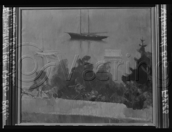 Glassplate og negativ film