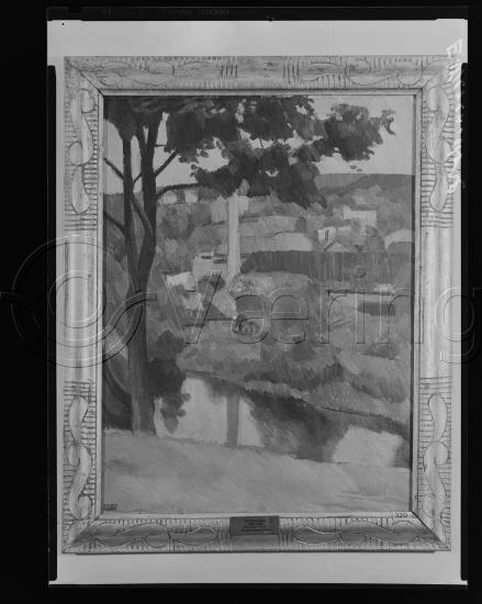 Glassplate og negativ film