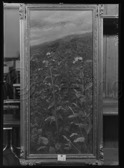 Glassplate og negativ film