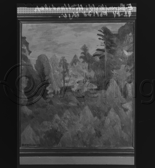 Glassplate og negativ film